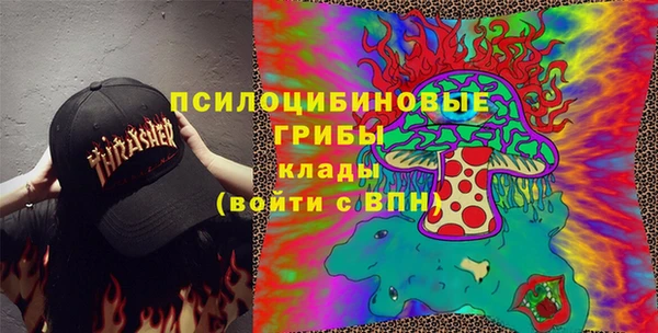 бутират Дмитриев