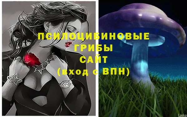 меф Осташков