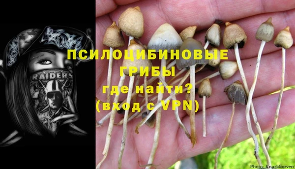 бутират Дмитриев