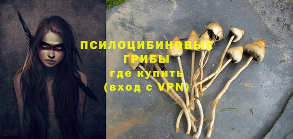 бутират Дмитриев