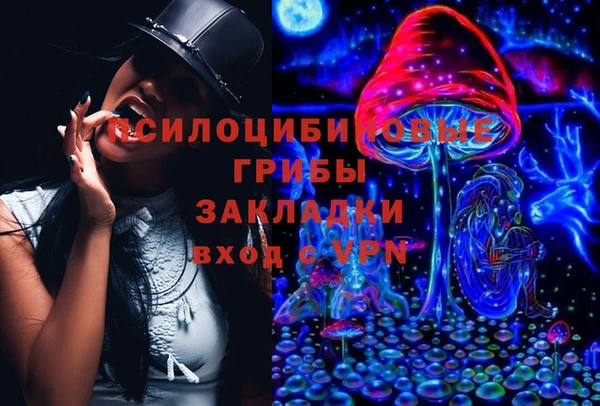 бутират Дмитриев